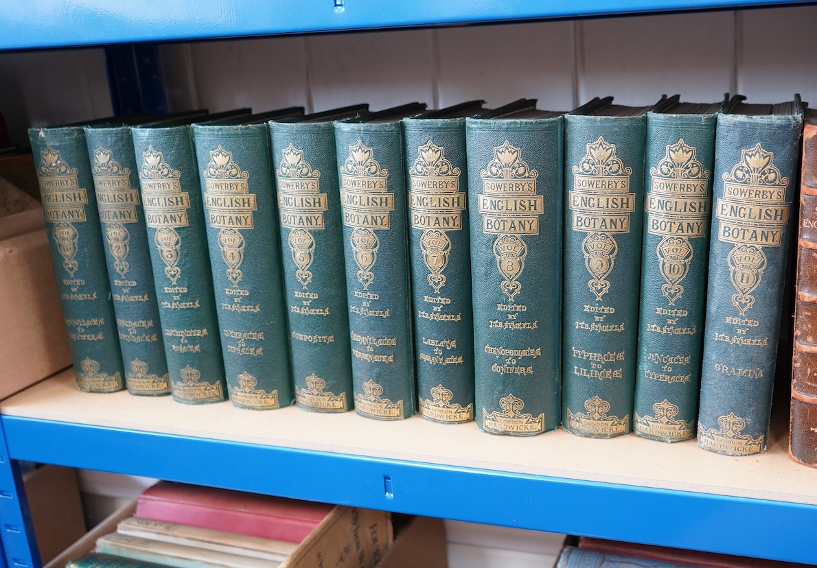 Sowerby, John & Others - English Botany; or Coloured Figures of British Plants ... 3rd Edition, enlarged ... and entirely revised by John T. Boswell Syme. with some 1800 hand coloured lithographed plates; vols.1-11 origi